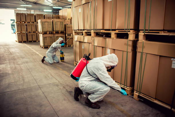 Best Exterminator Services  in Lennox, SD