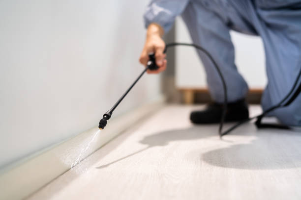 Best Residential Pest Control  in Lennox, SD