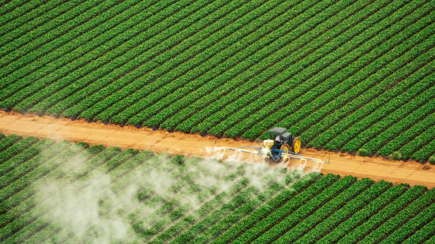 Best Pest Inspection Near Me  in Lennox, SD