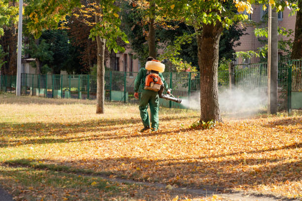 Best Commercial Pest Control Services  in Lennox, SD