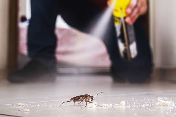 Best Pest Prevention Services  in Lennox, SD