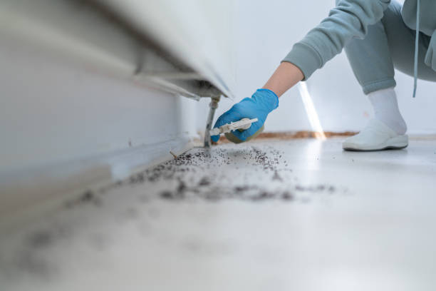Best Bed Bug Extermination  in Lennox, SD
