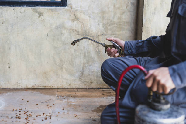 Best Local Pest Control Services  in Lennox, SD